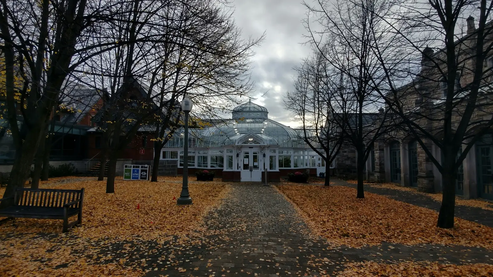 Tutorat à domicile à Westmount