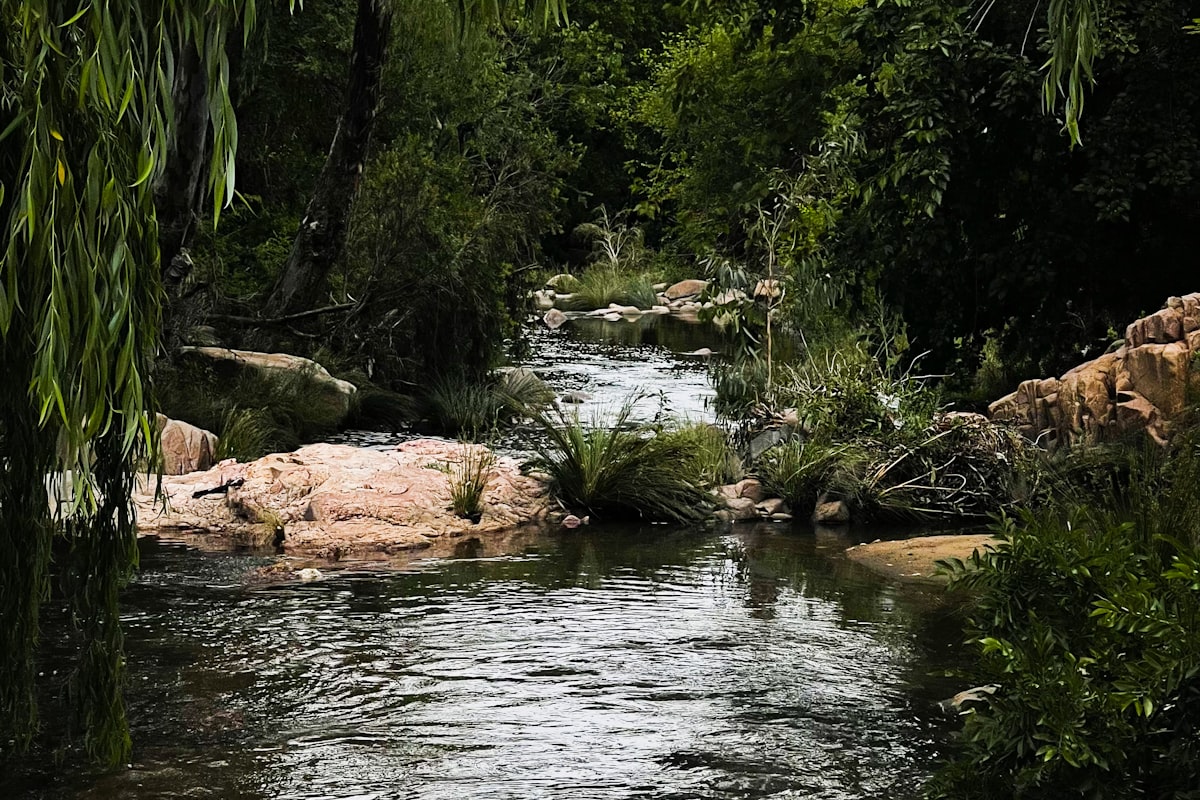 Tutorat à domicile à Laval