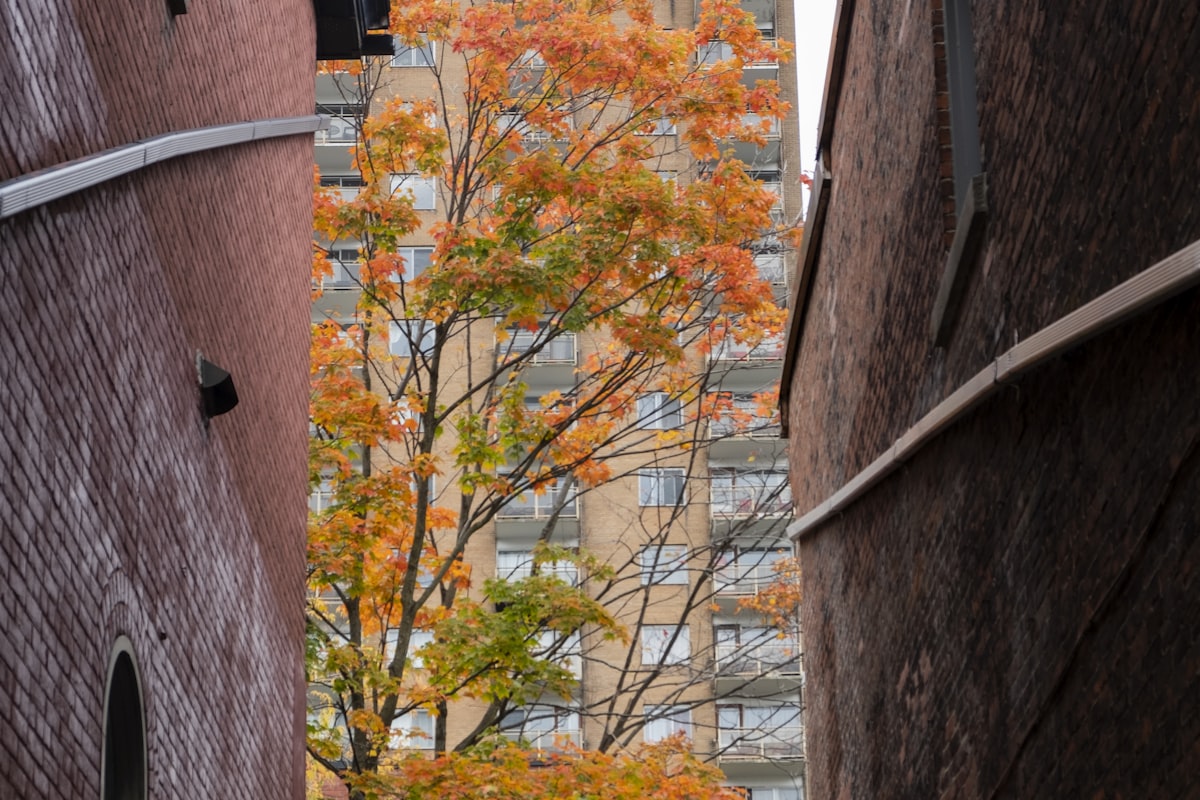 Tutorat à domicile à Rosemont–La Petite-Patrie