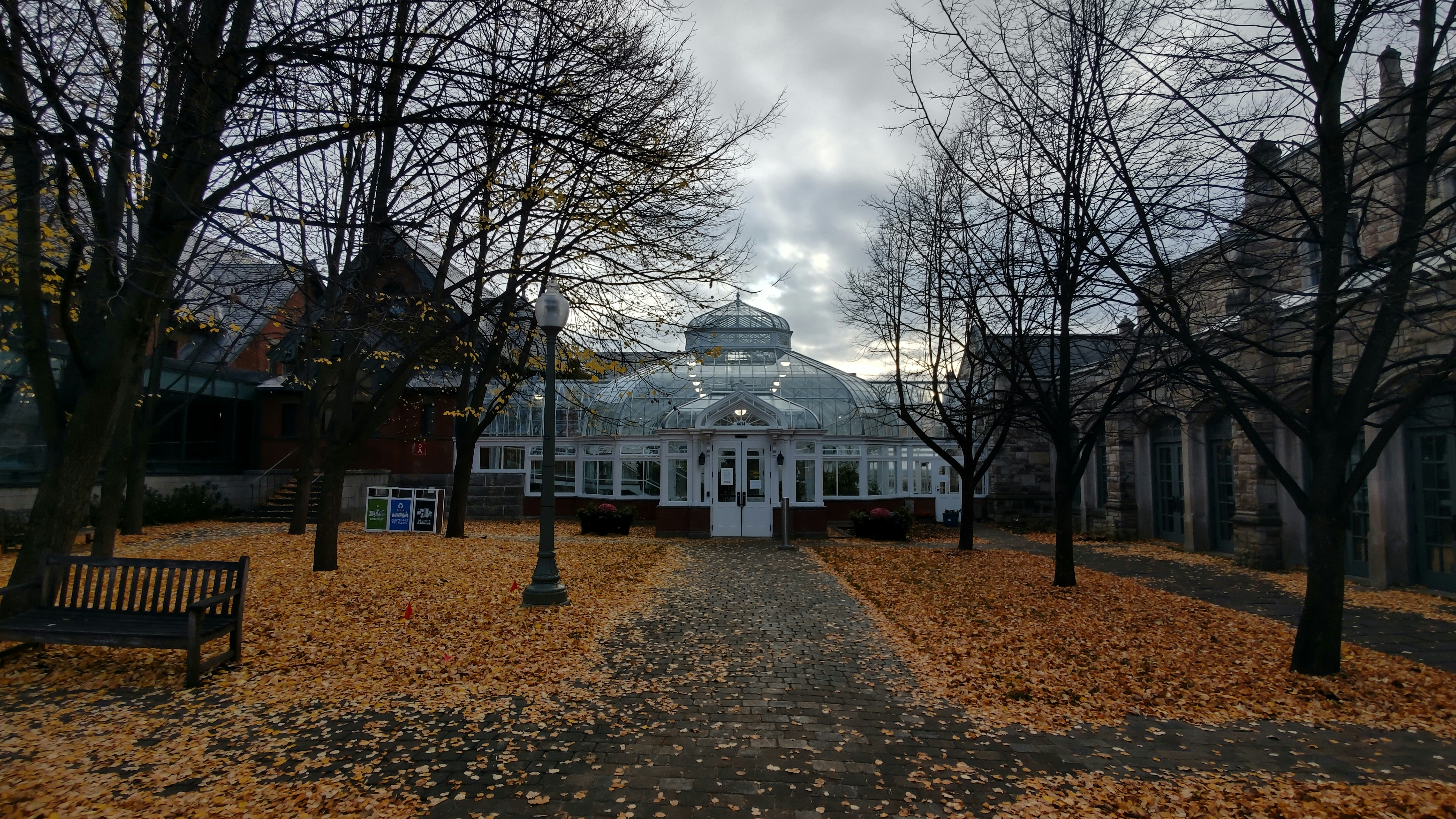 Tutorat à domicile à Westmount